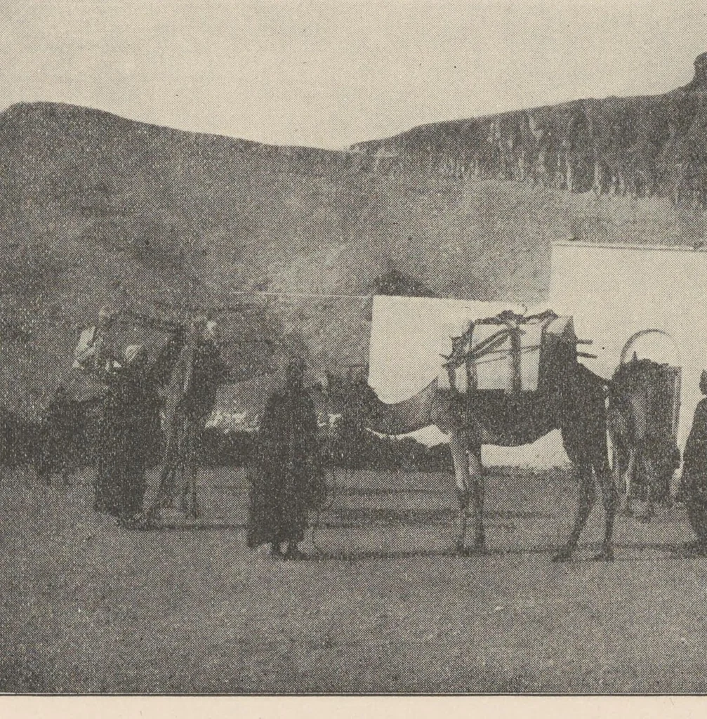 An illustration from Egypt and western Asia in the light of recent discoveries, 1907, leaf 374