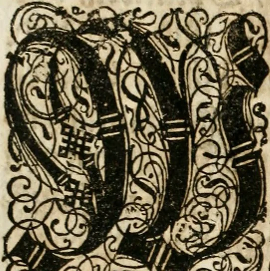 An illustration from Eigentliche Abbildungen Beeder Römm. Kayserl. wie auch der Röm. Königl. Majestäten und dann sämtlicher Herren Chur-Fuersten dess H. Röm Reichs ... Statt Augsburg im Jahr 1689 und 1690. Theils in eiger hoher person, Theils durch Dero Gevoll. mächtigte hochansehnliche herren Abgesandten erscheinen, 1689, leaf 146
