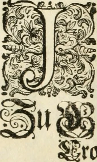 An illustration from Eigentliche Abbildungen Beeder Römm. Kayserl. wie auch der Röm. Königl. Majestäten und dann sämtlicher Herren Chur-Fuersten dess H. Röm Reichs ... Statt Augsburg im Jahr 1689 und 1690. Theils in eiger hoher person, Theils durch Dero Gevoll. mächtigte hochansehnliche herren Abgesandten erscheinen, 1689, leaf 186