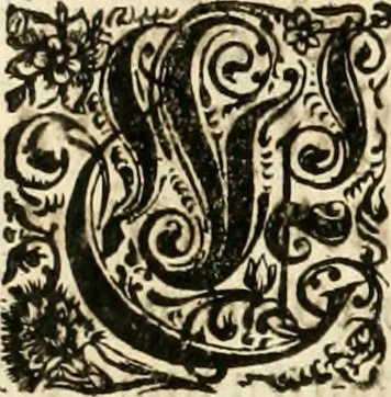 An illustration from Eigentliche Abbildungen Beeder Römm. Kayserl. wie auch der Röm. Königl. Majestäten und dann sämtlicher Herren Chur-Fuersten dess H. Röm Reichs ... Statt Augsburg im Jahr 1689 und 1690. Theils in eiger hoher person, Theils durch Dero Gevoll. mächtigte hochansehnliche herren Abgesandten erscheinen, 1689, leaf 197