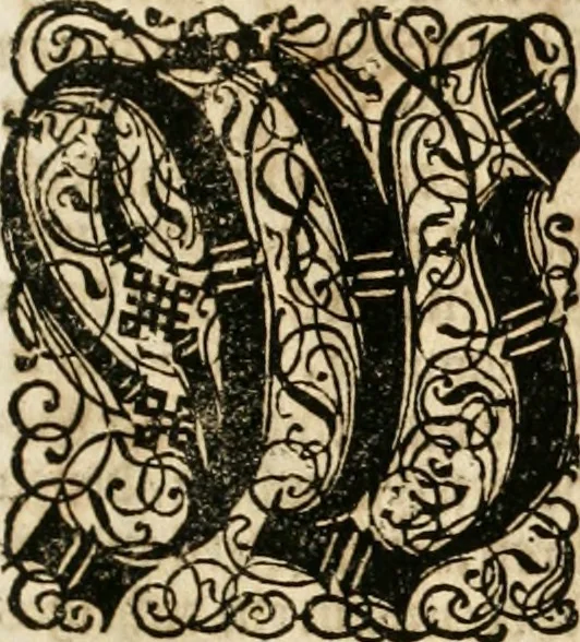 An illustration from Eigentliche Abbildungen Beeder Römm. Kayserl. wie auch der Röm. Königl. Majestäten und dann sämtlicher Herren Chur-Fuersten dess H. Röm Reichs ... Statt Augsburg im Jahr 1689 und 1690. Theils in eiger hoher person, Theils durch Dero Gevoll. mächtigte hochansehnliche herren Abgesandten erscheinen, 1689, leaf 30