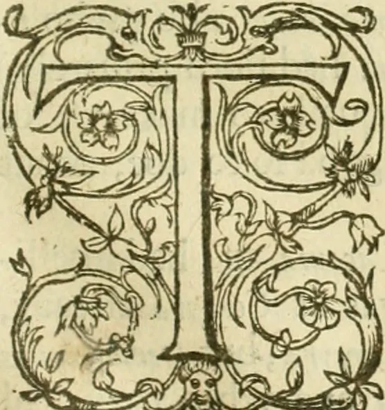 An illustration from Eight bookes of the Peloponnesian Warre, 1634, leaf 250