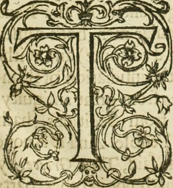 An illustration from Eight bookes of the Peloponnesian Warre, 1634, leaf 38