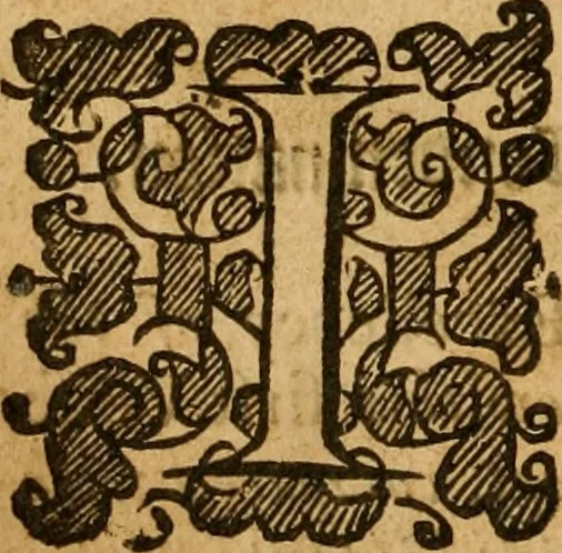 An illustration from Eighteen sermons on Romans viii. 1-4, 1672, leaf 25