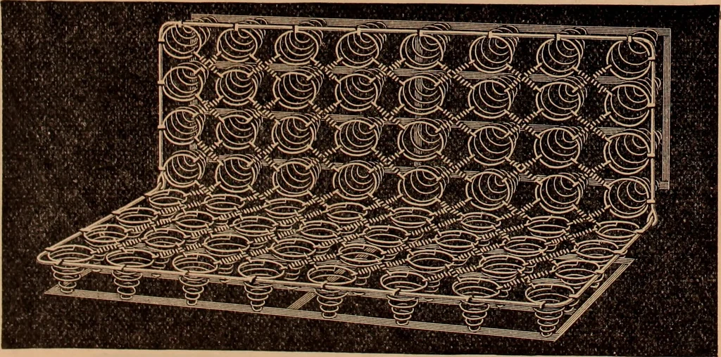An illustration from Eighth annual catalogue., 1897, leaf 13