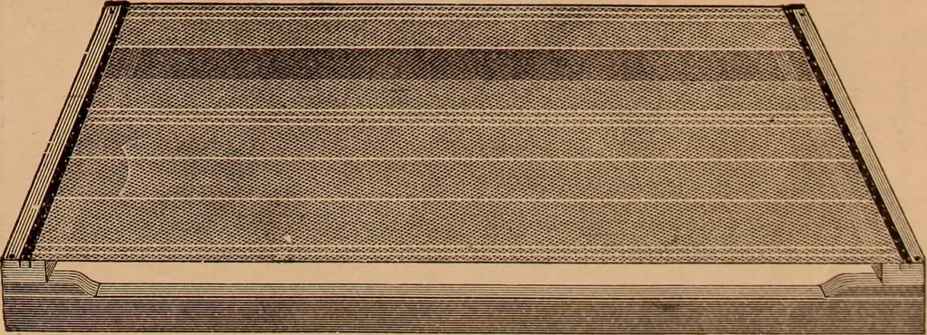 An illustration from Eighth annual catalogue., 1897, leaf 13