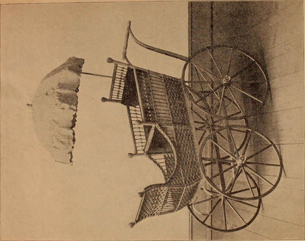 An illustration from Eighth annual catalogue., 1897, leaf 65