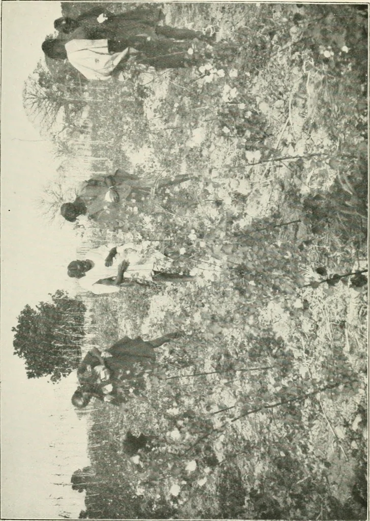 An illustration from The eighth International Congress of Delegated Representatives of Master Cotton Spinners' and Manufacturers' Associations, held in the halls of the University, Barcelona, May 8th, 9th, and 10th, 1911, 1911, leaf 171