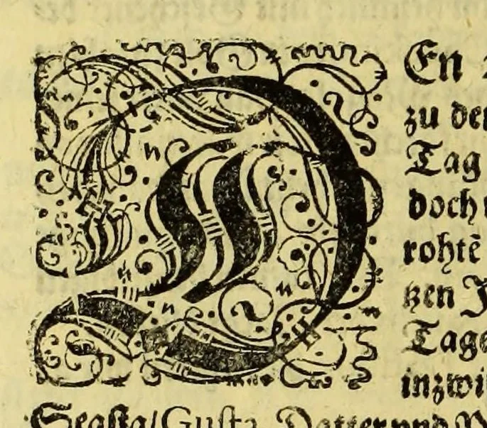 An illustration from Eilffter Theil der Orientalischen Indien, darinnen erstlich begriffenwerden zwo Schiffahrten Herrn Americi Vesputii, welche er auss Befehl Königs Emanuelis von Portugall anno 1501. in Ost Indien vorgenommen. : Zum andern, ein warhafftiger vnd zuvor nie erhörter Bericht eines Englischen, welcher, nach dem er in einem Schiff, die Auffahrt genandt, in Cambaja dem eussersten Theil Ost Indiens Schiffbruchgelidten, zu Land durch viele vnbekandte Königreich vnd grosse Stätte gereiset, vnd was ihme vberall begegnet vnd zuhanden gestossen. Zum dritten, ein historische Beschreibung von Erfindung vnd Beschaffenheit der Landschafft Spitzberg, &c. Item, ein kurtze Erzehlung, was alle andere Fischer Anno 1613. von den Englischen erlidten, neben angehängter Protestation, wider der Engelländer angemassten Erbgerechtigkeit, vber gedachte Landschaft Spitzberg, &c., 1618, leaf 44