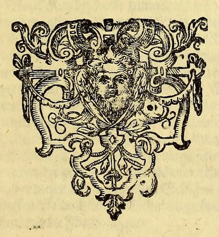 An illustration from Eilffter Theil der Orientalischen Indien, darinnen erstlich begriffenwerden zwo Schiffahrten Herrn Americi Vesputii, welche er auss Befehl Königs Emanuelis von Portugall anno 1501. in Ost Indien vorgenommen. : Zum andern, ein warhafftiger vnd zuvor nie erhörter Bericht eines Englischen, welcher, nach dem er in einem Schiff, die Auffahrt genandt, in Cambaja dem eussersten Theil Ost Indiens Schiffbruchgelidten, zu Land durch viele vnbekandte Königreich vnd grosse Stätte gereiset, vnd was ihme vberall begegnet vnd zuhanden gestossen. Zum dritten, ein historische Beschreibung von Erfindung vnd Beschaffenheit der Landschafft Spitzberg, &c. Item, ein kurtze Erzehlung, was alle andere Fischer Anno 1613. von den Englischen erlidten, neben angehängter Protestation, wider der Engelländer angemassten Erbgerechtigkeit, vber gedachte Landschaft Spitzberg, &c., 1618, leaf 73