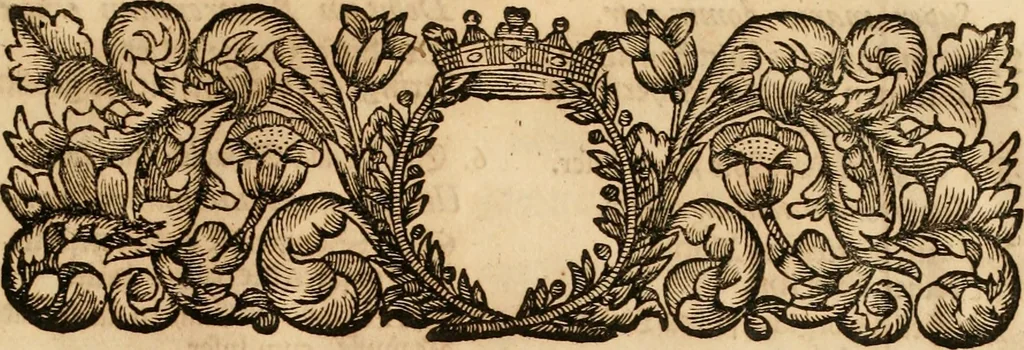 An illustration from Eine Collection curieuser Vorstellungen in Illuminationen und Feuer-Wercken : so in denen Jahren 1724 biss 1728 inclusivè, bey Gelegenheit einiger publiquen Festins und Rejouïssances, in Hamburg und mehrentheils auf dem Schau-Platze daselbst, unter der Direction und von der Invention Thomas Lediard's ... sind vorgestellet worden : in sechszehn grossen Kupfer-Platen sauber gestochen, und auff das accurateste abgebildet, nebst derselben besondern, vollkommenen und ausführlichen Beschreibungen, in welchen etliche Hundert dabey vorgestellte Sinn-Bilder, nebst dazu gehörigen Lateinischen, und in Teutschen Versen explicirten, emblematischen, und andern Inscriptionibus und Titeln enthalten, 1730, leaf 48