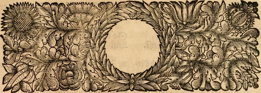 An illustration from Eine Collection curieuser Vorstellungen in Illuminationen und Feuer-Wercken : so in denen Jahren 1724 biss 1728 inclusivè, bey Gelegenheit einiger publiquen Festins und Rejouïssances, in Hamburg und mehrentheils auf dem Schau-Platze daselbst, unter der Direction und von der Invention Thomas Lediard's ... sind vorgestellet worden : in sechszehn grossen Kupfer-Platen sauber gestochen, und auff das accurateste abgebildet, nebst derselben besondern, vollkommenen und ausführlichen Beschreibungen, in welchen etliche Hundert dabey vorgestellte Sinn-Bilder, nebst dazu gehörigen Lateinischen, und in Teutschen Versen explicirten, emblematischen, und andern Inscriptionibus und Titeln enthalten, 1730, leaf 62