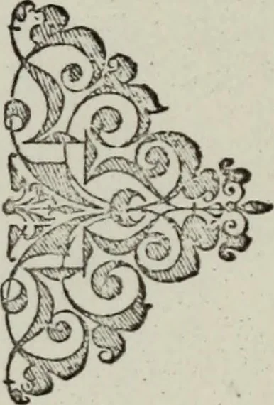 An illustration from Einer neüen Tabulatur auff Orgel und Instrumenten. Das ander allerlei schöne teutsche, italienische, frantzösische, geistliche und weltliche Lieder mit funff und vier Stimmen Passamezo, Galliardo und Täntze in sich begreifft.., 1577, leaf 12