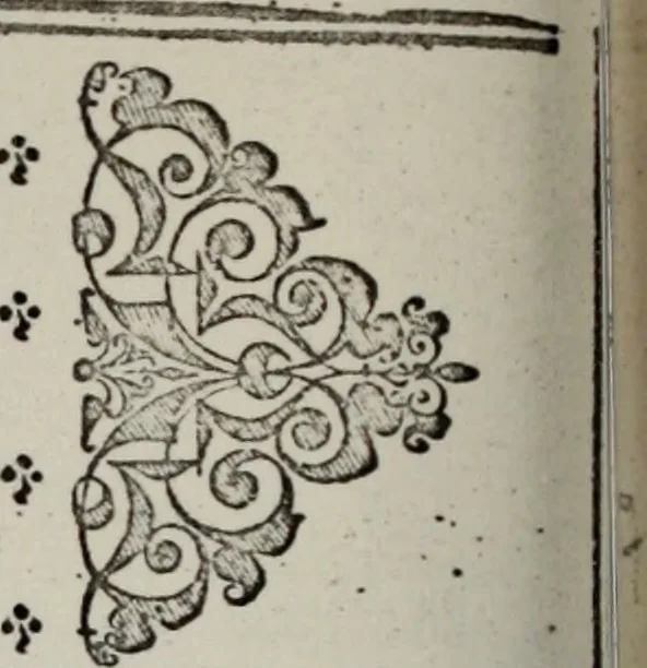 An illustration from Einer neüen Tabulatur auff Orgel und Instrumenten. Das ander allerlei schöne teutsche, italienische, frantzösische, geistliche und weltliche Lieder mit funff und vier Stimmen Passamezo, Galliardo und Täntze in sich begreifft.., 1577, leaf 57
