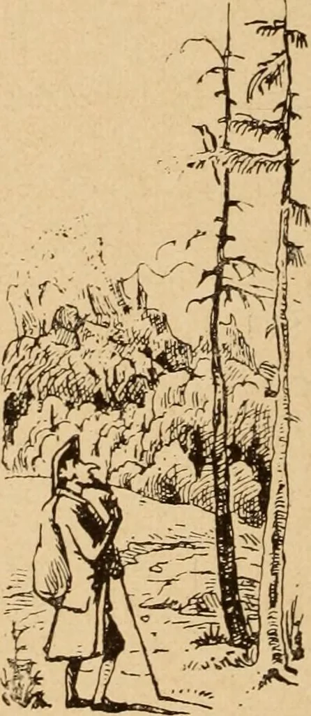 An illustration from Einfuhrung in die moderne Kunst, 1917, leaf 109