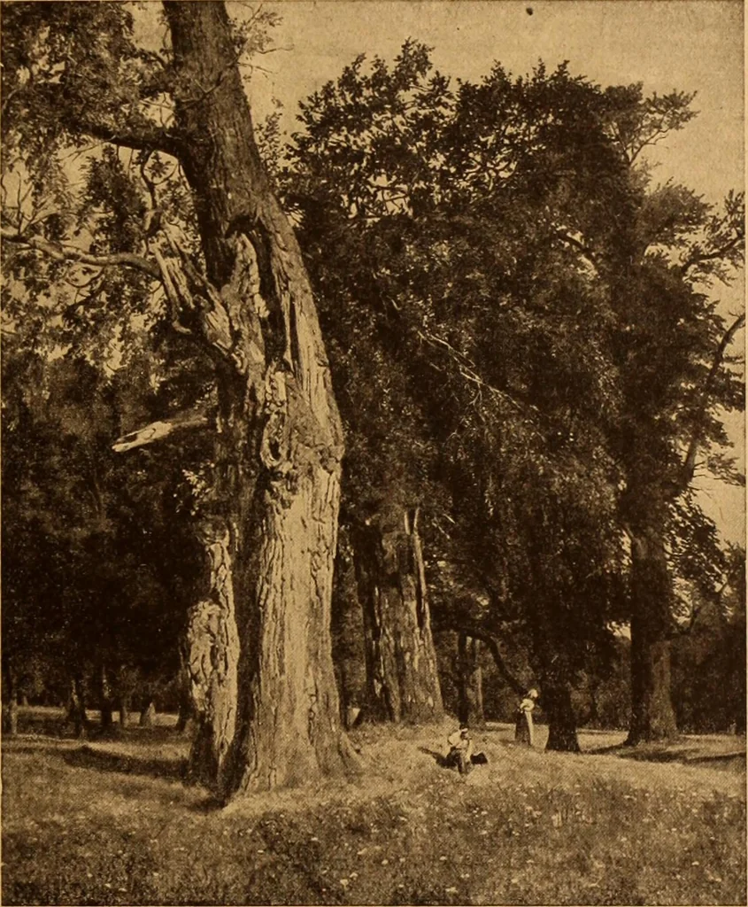 An illustration from Einfuhrung in die moderne Kunst, 1917, leaf 82
