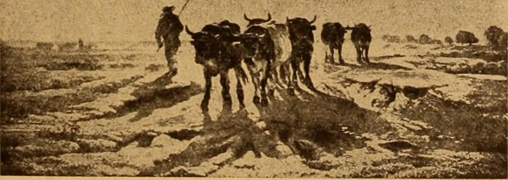 An illustration from Einfuhrung in die moderne Kunst, 1917, leaf 98