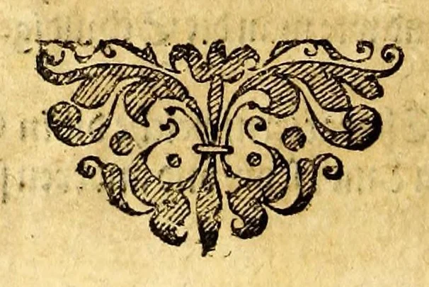 An illustration from Ein neuwe, kurtze, doch warhafftige Beschreibung dess gar grossmächtigen weitbegriffenen, bisshero vnbekandten Königreichs China: seiner fünffzehen gewaltigen Prouincien ..., 1589, leaf 22