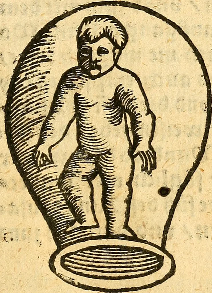 An illustration from Ein newer Albertus Magnus. Von Weybern vnd Geburten der Kinder, sampt jhren Artzneyen. Auch von Tugenden etlicher fürnemer Kreüter, vnd von Krafft der Edlen Gestein. Von art vnd Natur etlicher Thier. Mit sampt einem bewerten Regiment für die Pestilentz. Alles auffs new gebessert, durch Q. Apollinarem, 1602, leaf 20