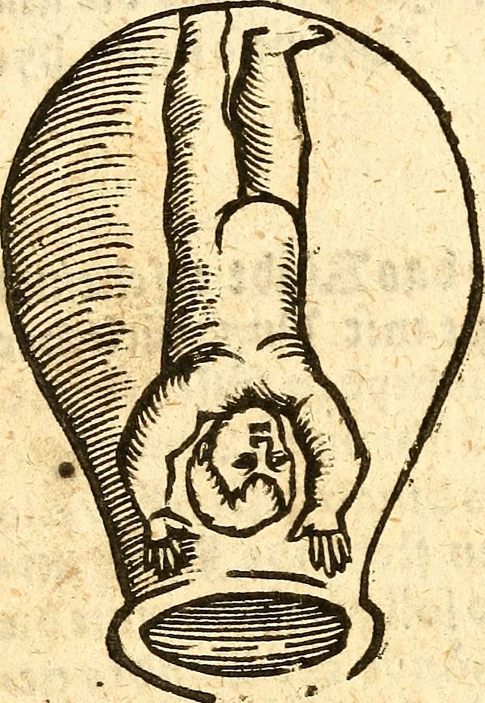 An illustration from Ein newer Albertus Magnus. Von Weybern vnd Geburten der Kinder, sampt jhren Artzneyen. Auch von Tugenden etlicher fürnemer Kreüter, vnd von Krafft der Edlen Gestein. Von art vnd Natur etlicher Thier. Mit sampt einem bewerten Regiment für die Pestilentz. Alles auffs new gebessert, durch Q. Apollinarem, 1602, leaf 21
