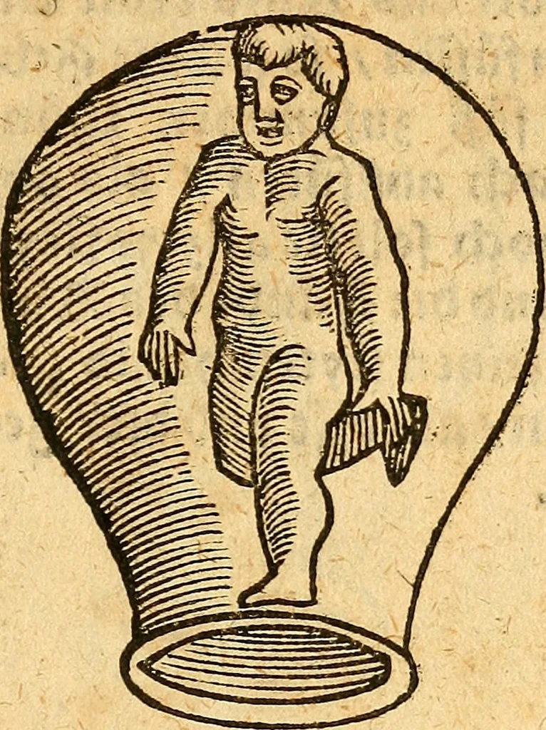An illustration from Ein newer Albertus Magnus. Von Weybern vnd Geburten der Kinder, sampt jhren Artzneyen. Auch von Tugenden etlicher fürnemer Kreüter, vnd von Krafft der Edlen Gestein. Von art vnd Natur etlicher Thier. Mit sampt einem bewerten Regiment für die Pestilentz. Alles auffs new gebessert, durch Q. Apollinarem, 1602, leaf 22