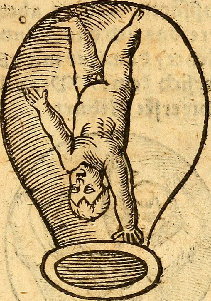 An illustration from Ein newer Albertus Magnus. Von Weybern vnd Geburten der Kinder, sampt jhren Artzneyen. Auch von Tugenden etlicher fürnemer Kreüter, vnd von Krafft der Edlen Gestein. Von art vnd Natur etlicher Thier. Mit sampt einem bewerten Regiment für die Pestilentz. Alles auffs new gebessert, durch Q. Apollinarem, 1602, leaf 24