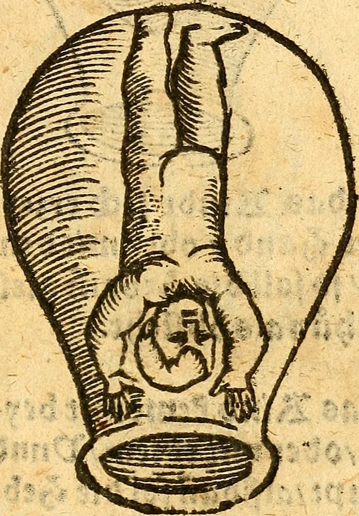 An illustration from Ein newer Albertus Magnus. Von Weybern vnd Geburten der Kinder, sampt jhren Artzneyen. Auch von Tugenden etlicher fürnemer Kreüter, vnd von Krafft der Edlen Gestein. Von art vnd Natur etlicher Thier. Mit sampt einem bewerten Regiment für die Pestilentz. Alles auffs new gebessert, durch Q. Apollinarem, 1602, leaf 24