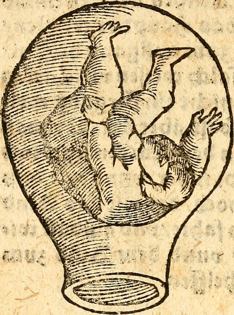 An illustration from Ein newer Albertus Magnus. Von Weybern vnd Geburten der Kinder, sampt jhren Artzneyen. Auch von Tugenden etlicher fürnemer Kreüter, vnd von Krafft der Edlen Gestein. Von art vnd Natur etlicher Thier. Mit sampt einem bewerten Regiment für die Pestilentz. Alles auffs new gebessert, durch Q. Apollinarem, 1602, leaf 25