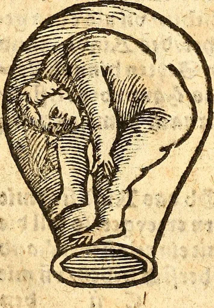 An illustration from Ein newer Albertus Magnus. Von Weybern vnd Geburten der Kinder, sampt jhren Artzneyen. Auch von Tugenden etlicher fürnemer Kreüter, vnd von Krafft der Edlen Gestein. Von art vnd Natur etlicher Thier. Mit sampt einem bewerten Regiment für die Pestilentz. Alles auffs new gebessert, durch Q. Apollinarem, 1602, leaf 25