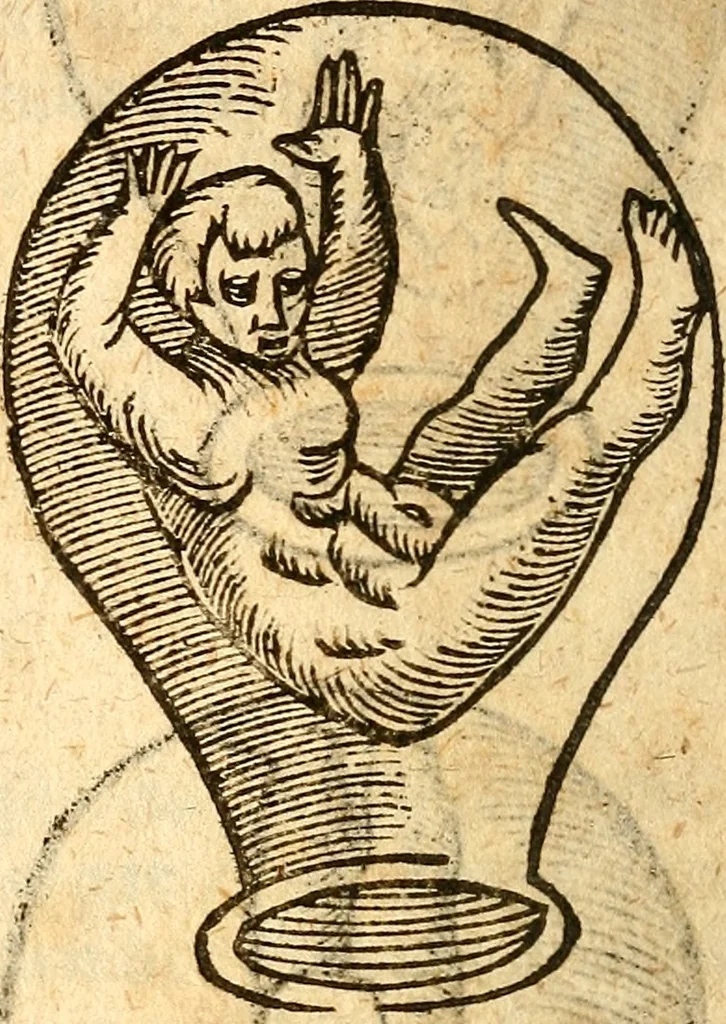 An illustration from Ein newer Albertus Magnus. Von Weybern vnd Geburten der Kinder, sampt jhren Artzneyen. Auch von Tugenden etlicher fürnemer Kreüter, vnd von Krafft der Edlen Gestein. Von art vnd Natur etlicher Thier. Mit sampt einem bewerten Regiment für die Pestilentz. Alles auffs new gebessert, durch Q. Apollinarem, 1602, leaf 25