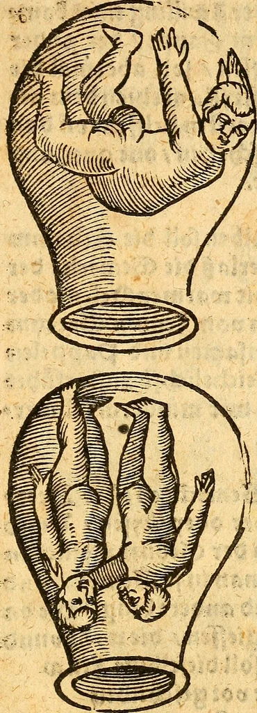 An illustration from Ein newer Albertus Magnus. Von Weybern vnd Geburten der Kinder, sampt jhren Artzneyen. Auch von Tugenden etlicher fürnemer Kreüter, vnd von Krafft der Edlen Gestein. Von art vnd Natur etlicher Thier. Mit sampt einem bewerten Regiment für die Pestilentz. Alles auffs new gebessert, durch Q. Apollinarem, 1602, leaf 26
