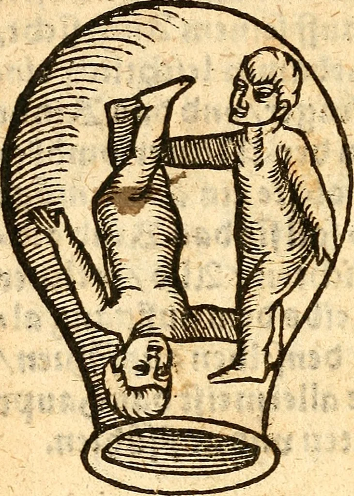 An illustration from Ein newer Albertus Magnus. Von Weybern vnd Geburten der Kinder, sampt jhren Artzneyen. Auch von Tugenden etlicher fürnemer Kreüter, vnd von Krafft der Edlen Gestein. Von art vnd Natur etlicher Thier. Mit sampt einem bewerten Regiment für die Pestilentz. Alles auffs new gebessert, durch Q. Apollinarem, 1602, leaf 27