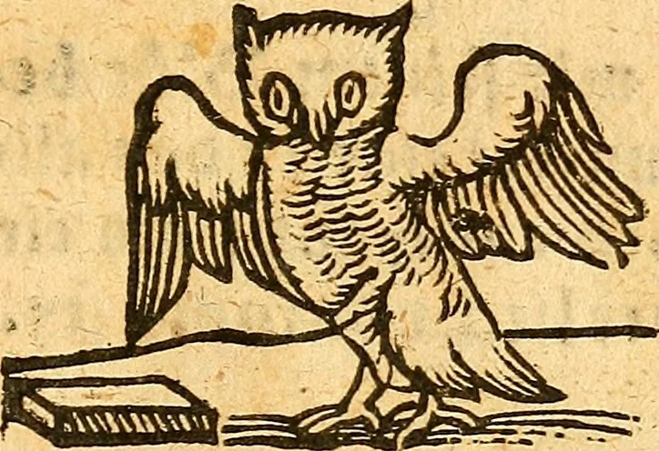 An illustration from Ein newer Albertus Magnus. Von Weybern vnd Geburten der Kinder, sampt jhren Artzneyen. Auch von Tugenden etlicher fürnemer Kreüter, vnd von Krafft der Edlen Gestein. Von art vnd Natur etlicher Thier. Mit sampt einem bewerten Regiment für die Pestilentz. Alles auffs new gebessert, durch Q. Apollinarem, 1602, leaf 62