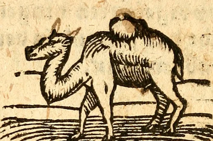 An illustration from Ein newer Albertus Magnus. Von Weybern vnd Geburten der Kinder, sampt jhren Artzneyen. Auch von Tugenden etlicher fürnemer Kreüter, vnd von Krafft der Edlen Gestein. Von art vnd Natur etlicher Thier. Mit sampt einem bewerten Regiment für die Pestilentz. Alles auffs new gebessert, durch Q. Apollinarem, 1602, leaf 63