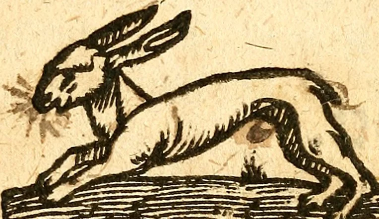 An illustration from Ein newer Albertus Magnus. Von Weybern vnd Geburten der Kinder, sampt jhren Artzneyen. Auch von Tugenden etlicher fürnemer Kreüter, vnd von Krafft der Edlen Gestein. Von art vnd Natur etlicher Thier. Mit sampt einem bewerten Regiment für die Pestilentz. Alles auffs new gebessert, durch Q. Apollinarem, 1602, leaf 63