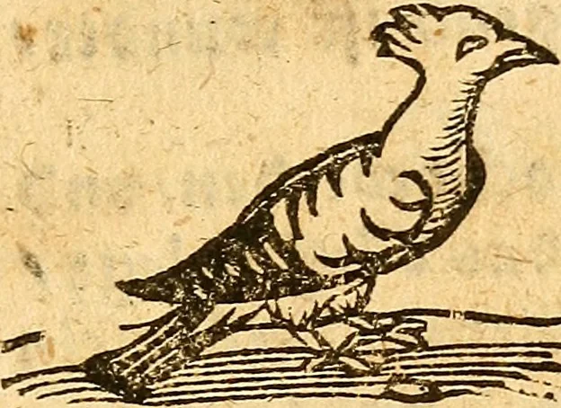An illustration from Ein newer Albertus Magnus. Von Weybern vnd Geburten der Kinder, sampt jhren Artzneyen. Auch von Tugenden etlicher fürnemer Kreüter, vnd von Krafft der Edlen Gestein. Von art vnd Natur etlicher Thier. Mit sampt einem bewerten Regiment für die Pestilentz. Alles auffs new gebessert, durch Q. Apollinarem, 1602, leaf 64