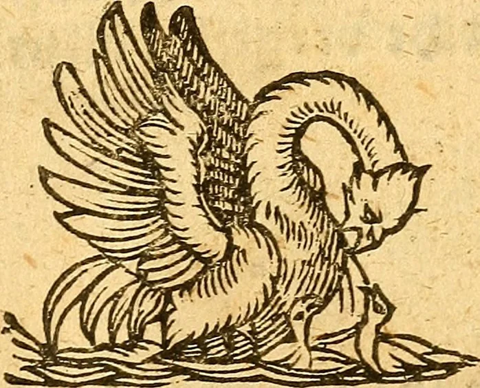 An illustration from Ein newer Albertus Magnus. Von Weybern vnd Geburten der Kinder, sampt jhren Artzneyen. Auch von Tugenden etlicher fürnemer Kreüter, vnd von Krafft der Edlen Gestein. Von art vnd Natur etlicher Thier. Mit sampt einem bewerten Regiment für die Pestilentz. Alles auffs new gebessert, durch Q. Apollinarem, 1602, leaf 64