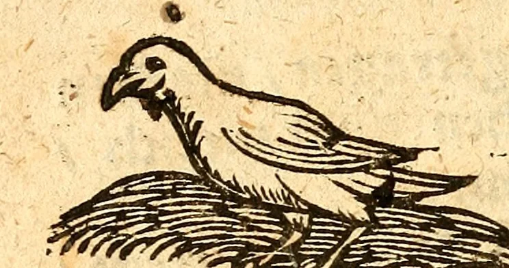An illustration from Ein newer Albertus Magnus. Von Weybern vnd Geburten der Kinder, sampt jhren Artzneyen. Auch von Tugenden etlicher fürnemer Kreüter, vnd von Krafft der Edlen Gestein. Von art vnd Natur etlicher Thier. Mit sampt einem bewerten Regiment für die Pestilentz. Alles auffs new gebessert, durch Q. Apollinarem, 1602, leaf 65