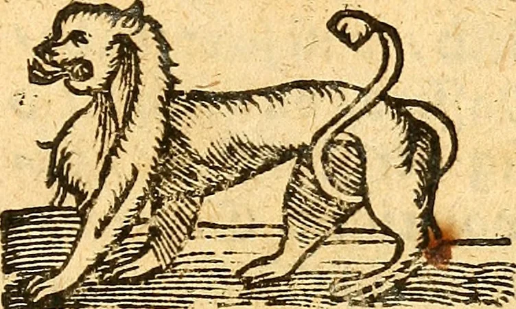 An illustration from Ein newer Albertus Magnus. Von Weybern vnd Geburten der Kinder, sampt jhren Artzneyen. Auch von Tugenden etlicher fürnemer Kreüter, vnd von Krafft der Edlen Gestein. Von art vnd Natur etlicher Thier. Mit sampt einem bewerten Regiment für die Pestilentz. Alles auffs new gebessert, durch Q. Apollinarem, 1602, leaf 66