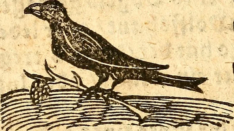 An illustration from Ein newer Albertus Magnus. Von Weybern vnd Geburten der Kinder, sampt jhren Artzneyen. Auch von Tugenden etlicher fürnemer Kreüter, vnd von Krafft der Edlen Gestein. Von art vnd Natur etlicher Thier. Mit sampt einem bewerten Regiment für die Pestilentz. Alles auffs new gebessert, durch Q. Apollinarem, 1602, leaf 69