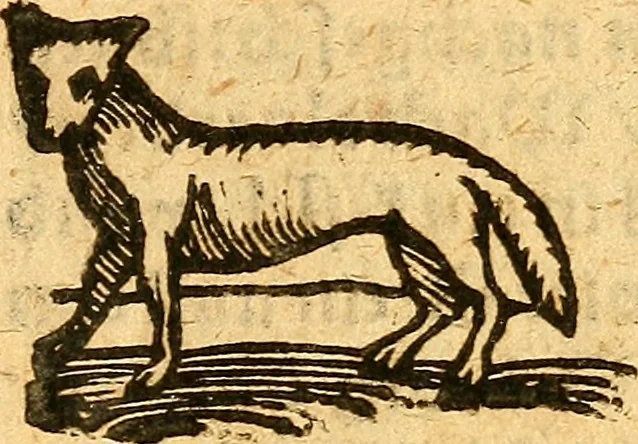 An illustration from Ein newer Albertus Magnus. Von Weybern vnd Geburten der Kinder, sampt jhren Artzneyen. Auch von Tugenden etlicher fürnemer Kreüter, vnd von Krafft der Edlen Gestein. Von art vnd Natur etlicher Thier. Mit sampt einem bewerten Regiment für die Pestilentz. Alles auffs new gebessert, durch Q. Apollinarem, 1602, leaf 70