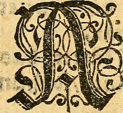 An illustration from Ein newer Albertus Magnus. Von Weybern vnd Geburten der Kinder, sampt jhren Artzneyen. Auch von Tugenden etlicher fürnemer Kreüter, vnd von Krafft der Edlen Gestein. Von art vnd Natur etlicher Thier. Mit sampt einem bewerten Regiment für die Pestilentz. Alles auffs new gebessert, durch Q. Apollinarem, 1602, leaf 8