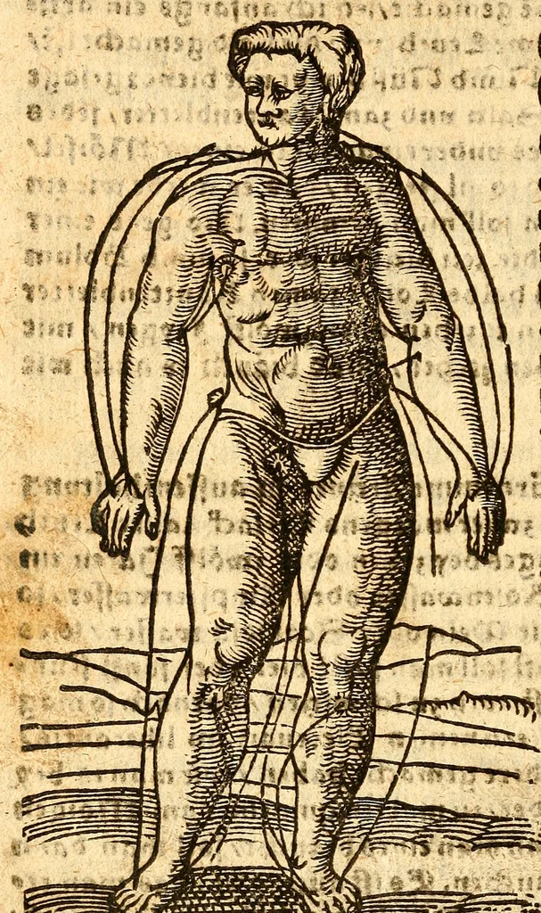 An illustration from Ein newer Albertus Magnus. Von Weybern vnd Geburten der Kinder, sampt jhren Artzneyen. Auch von Tugenden etlicher fürnemer Kreüter, vnd von Krafft der Edlen Gestein. Von art vnd Natur etlicher Thier. Mit sampt einem bewerten Regiment für die Pestilentz. Alles auffs new gebessert, durch Q. Apollinarem, 1602, leaf 97
