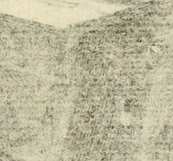 An illustration from Ein Schock Phantastn in einem Kasten : mit ihrem Pourtrait gar net in Kupffer gebracht und ausgelacht, samt einer Vorred, 1700, leaf 129