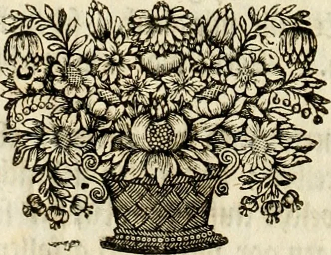 An illustration from Ein Schock Phantastn in einem Kasten : mit ihrem Pourtrait gar net in Kupffer gebracht und ausgelacht, samt einer Vorred, 1700, leaf 15