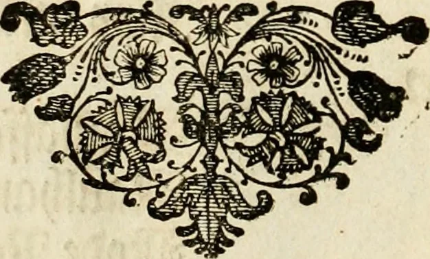 An illustration from Ein Schock Phantastn in einem Kasten : mit ihrem Pourtrait gar net in Kupffer gebracht und ausgelacht, samt einer Vorred, 1700, leaf 17