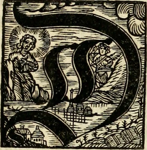 An illustration from Ein Schock Phantastn in einem Kasten : mit ihrem Pourtrait gar net in Kupffer gebracht und ausgelacht, samt einer Vorred, 1700, leaf 8