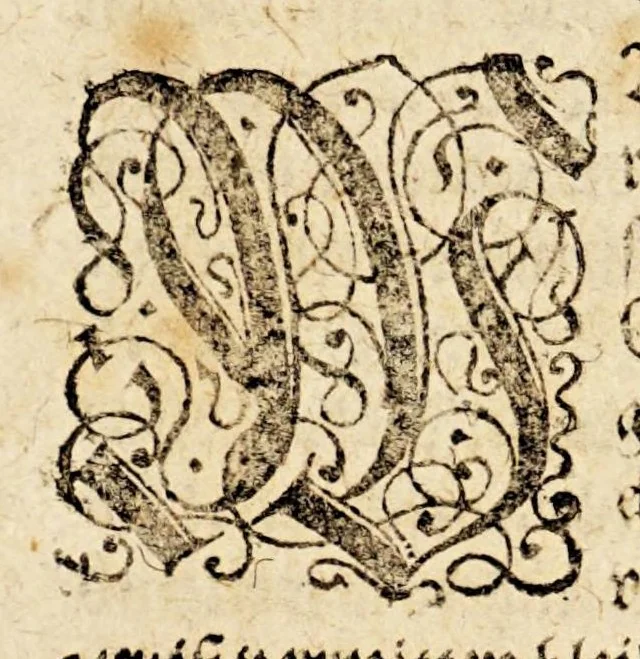 An illustration from Ein sehr nothwendige, trewhertzige vnd wolgemeinte Warnung vnnd Vermanungs Schrifft: : darinne der Spanier Tyranney, List, Anschlege, vnnd Praticken, wider die Christen entdecket, vnd bey zeite ihre Gewalt zu brechen sey: auch werden hierein der Hertzog von Braunschweig vnnd ganz Teutschland, sowol die in Westphalen, so es itzo eins theils mit grosen schaden (leider) erfahren haben, vnd dafür gewarnet, auch der Magdebürger bestendigkeit gerühmet. Ahn alle Chur vnd Fürsten, Stende vnd Städte des heiligen Reichs Deutscher Nation, auch alle andere Christliche Potentaten. Vmb den gemeinen Nutz, Freyheit vnd Wolfart der gantzen Christenheit zuerhalten., 1599, leaf 5