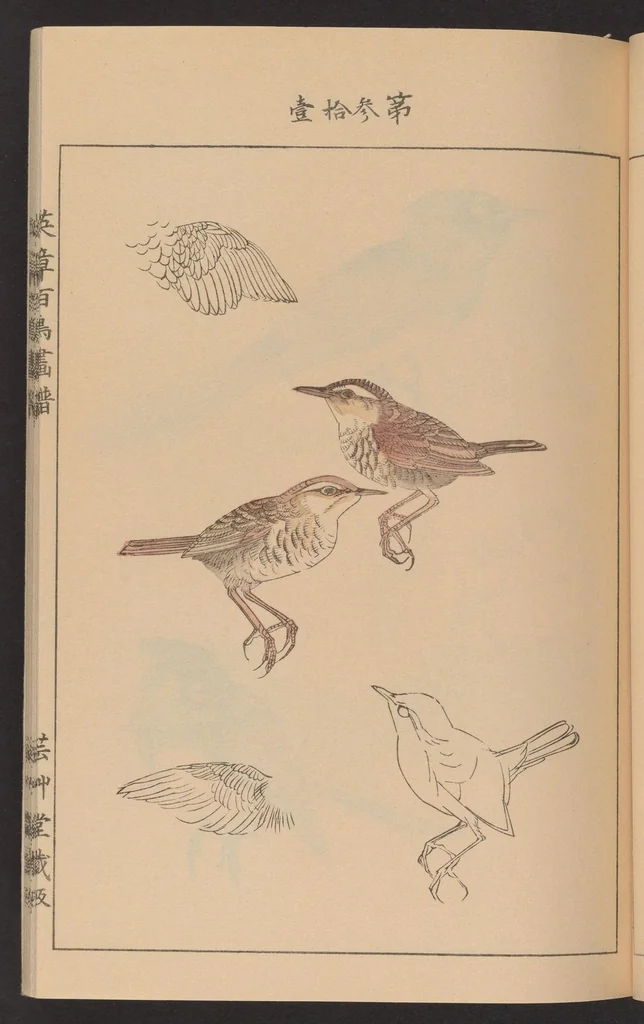 An illustration from Eishō hyakuchō gafu, 1913, leaf 12