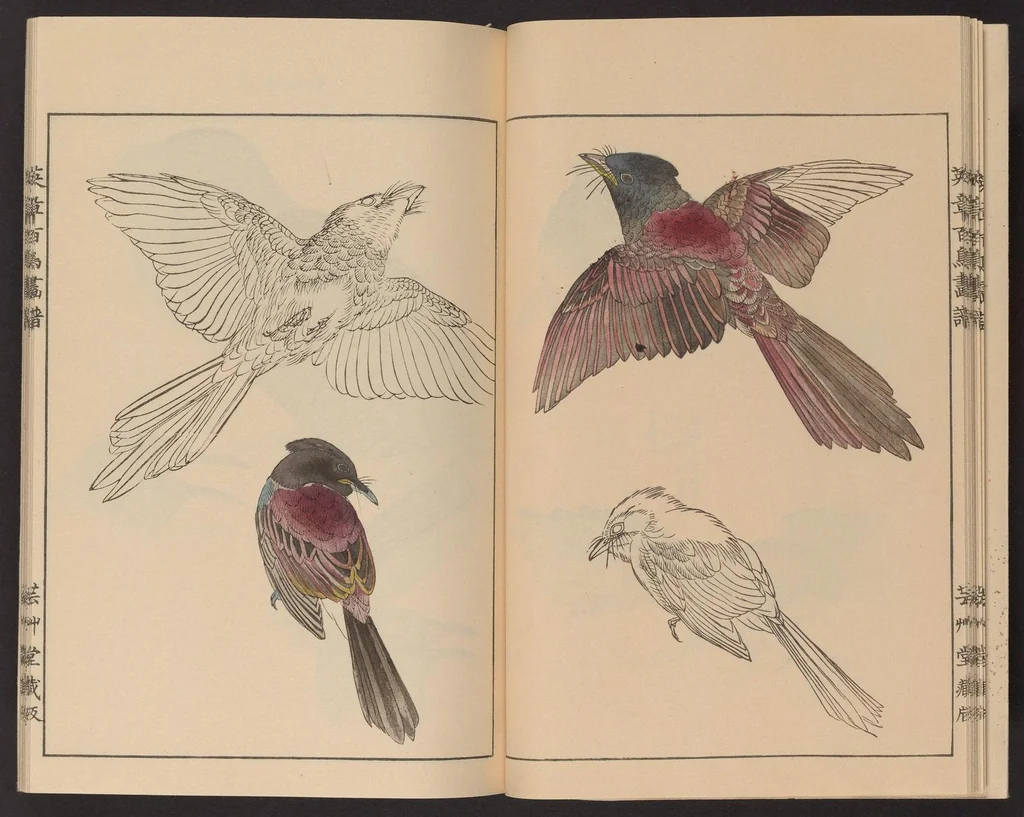 An illustration from Eishō hyakuchō gafu, 1913, leaf 14